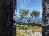 LA PORTA STRETTA DETTAGLIO